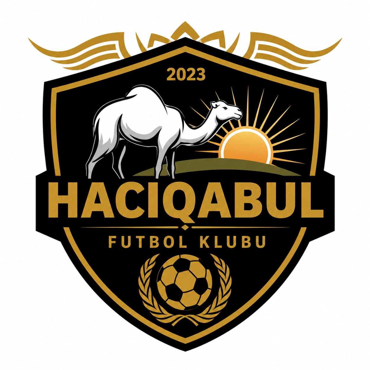 Hacıqabul Logo